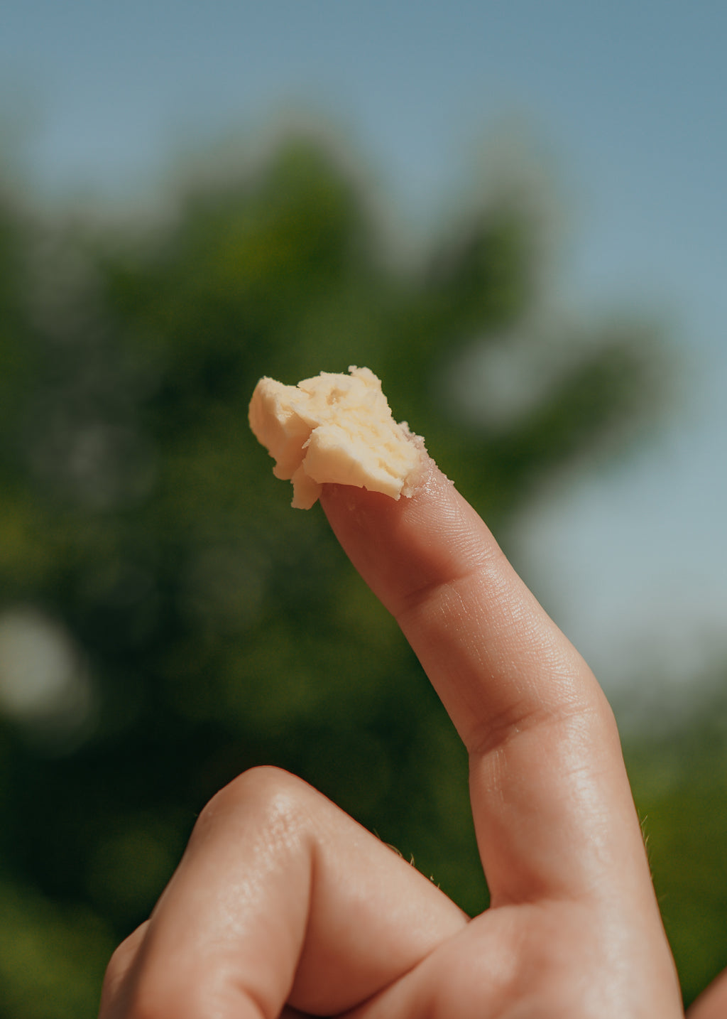 Supple – Whole-Plant Infused Tallow Face Balm