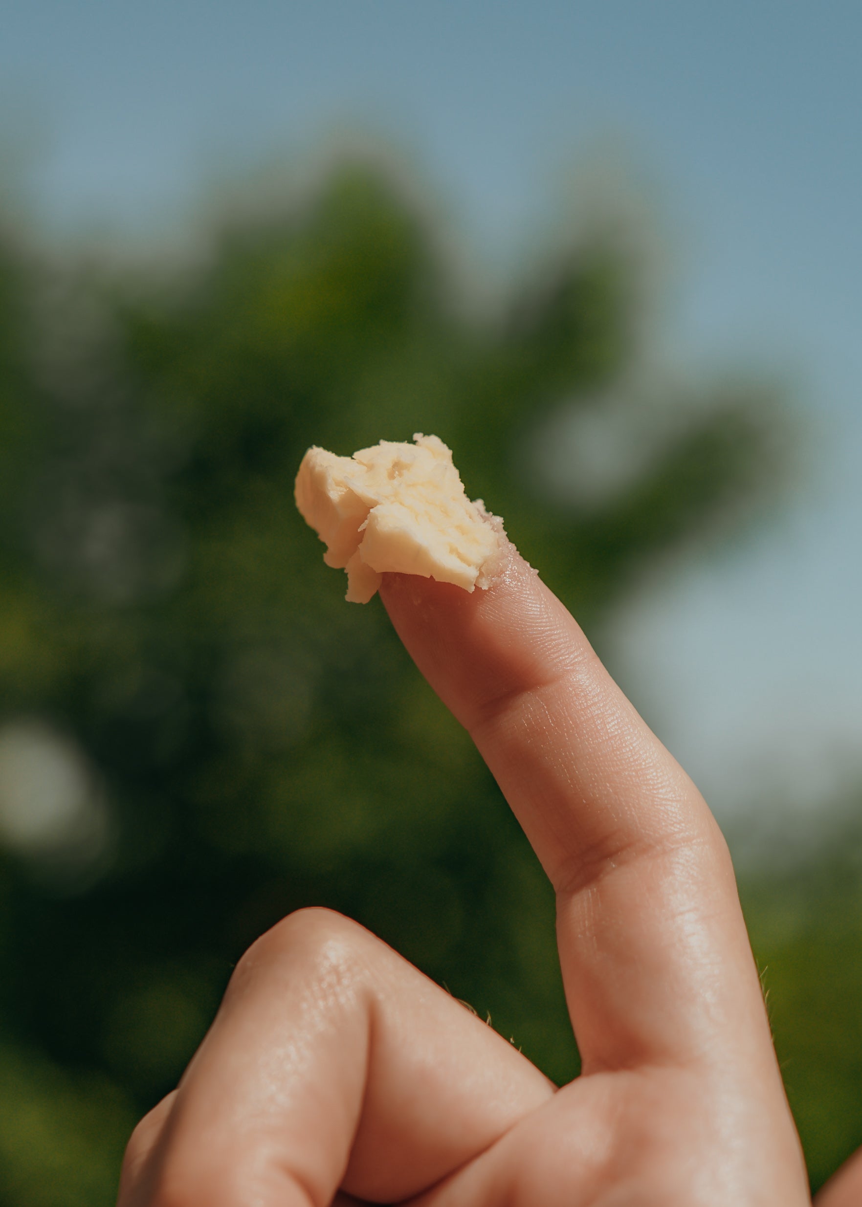Supple – Whole-Plant Infused Tallow Face Balm