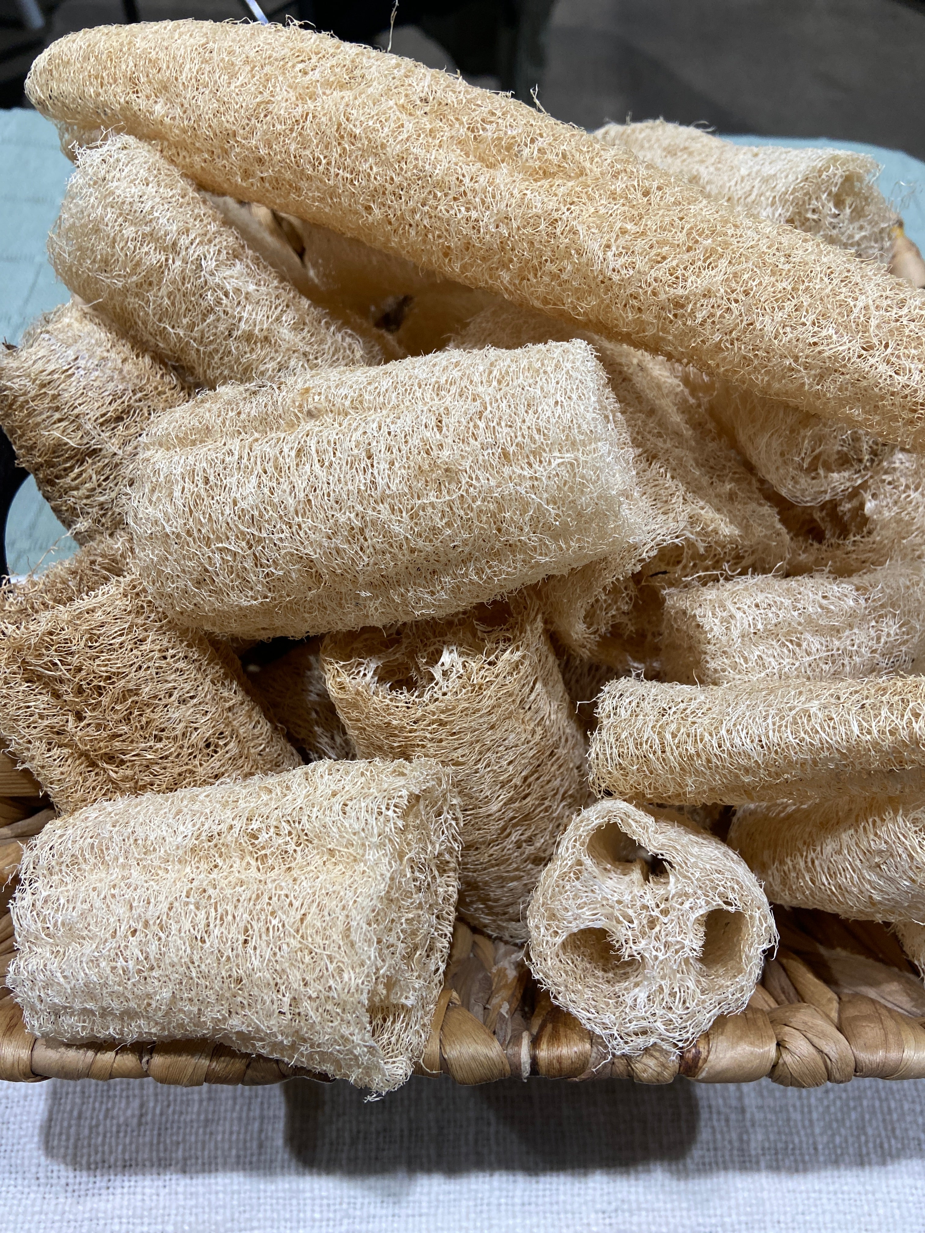 Luffa sponges